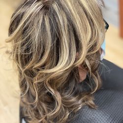 Salon Techniques - Highlights and dimensional color.