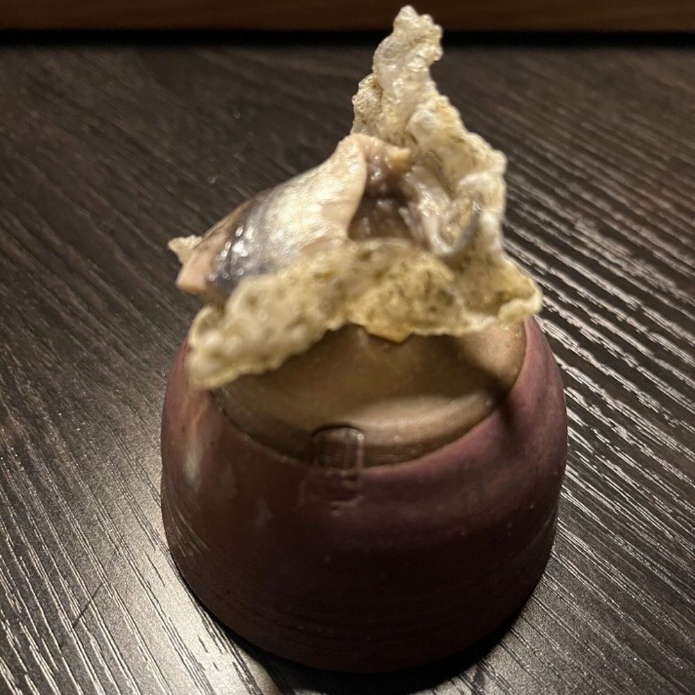 Counter- - Seaweed And white anchovy - New American Near Me - Charlotte, North Carolina