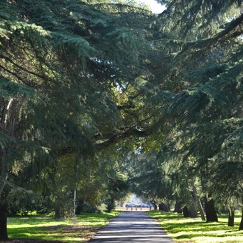 Stanford University Arboretum - Parks Near Me - Stanford, California Stanford University Arboretum - Parks Near Me - Stanford, California