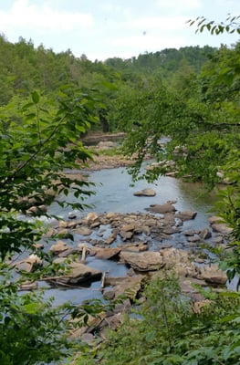 Audra State Park by null
