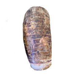 Mama Mata - Nduma- Arrow Root