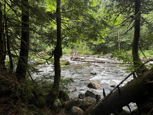 Twin Falls Natural Area by null