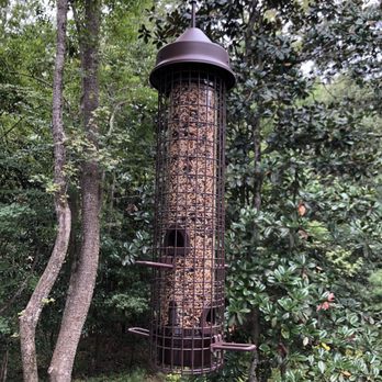 Wild Birds Unlimited - Our new squirrel proof feeder! - Bird Shops Near Me - Charleston, South Carolina Wild Birds Unlimited - Our new squirrel proof feeder! - Bird Shops Near Me - Charleston, South Carolina