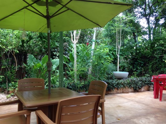 Yerbabuena del sisal by null