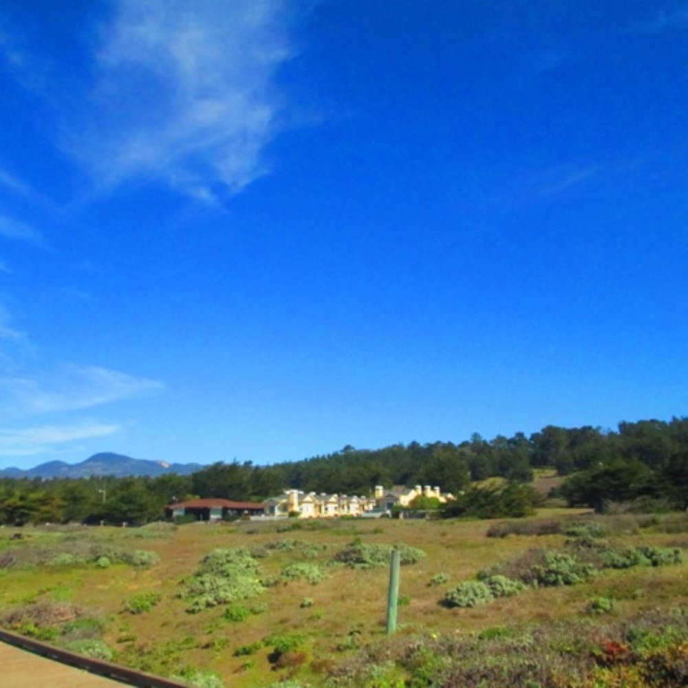 White Water - Hotels Near Me - Cambria, California White Water - Hotels Near Me - Cambria, California