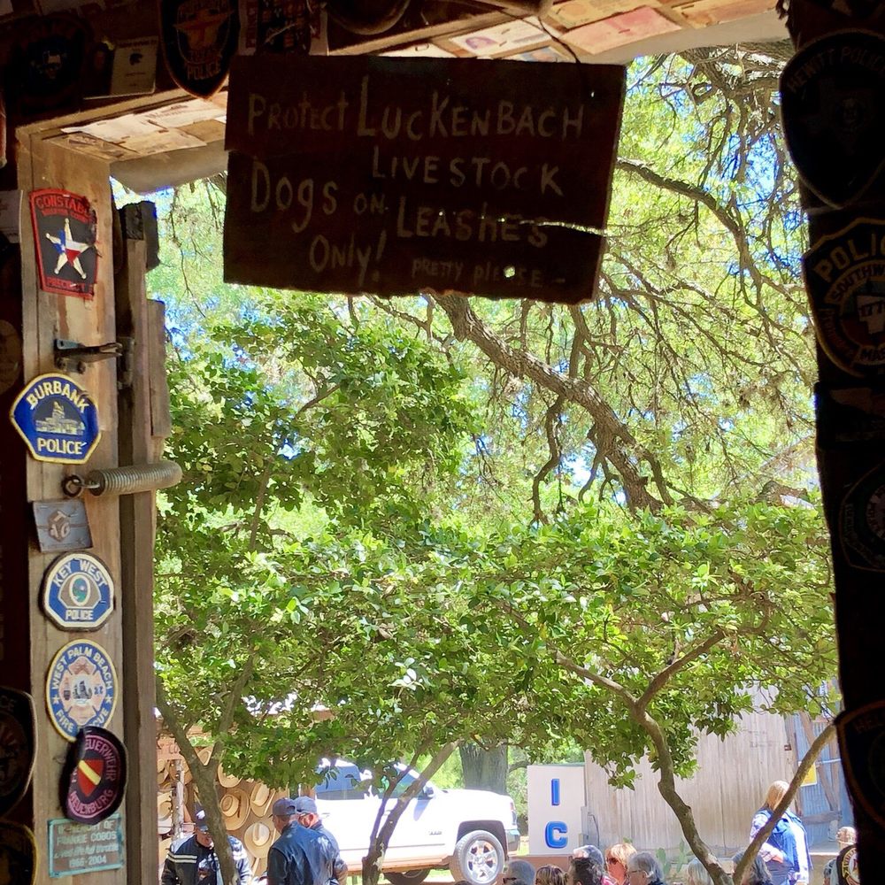 Dogologie - Luckenbach Dog friendly - Pet Stores Near Me - Fredericksburg, Texas