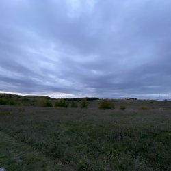 North Maple Regional Park - More viewa