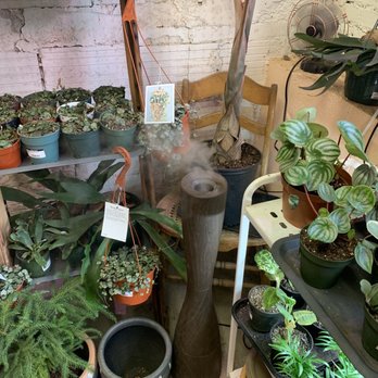 Jungle House - Air Humidifier - Nurseries & Gardening Near Me - Lawrence, Kansas