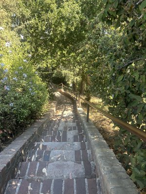 Filbert Steps by null