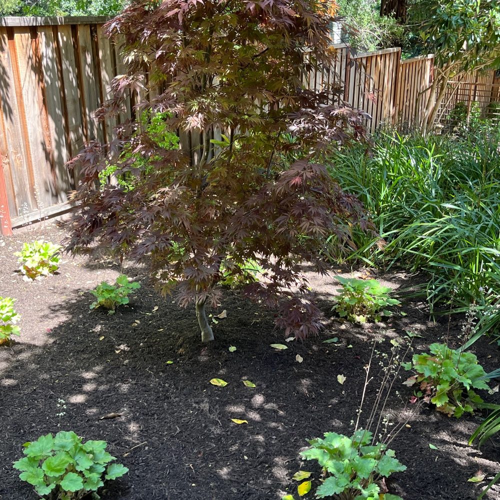 Geared for Growing - Landscaping Near Me - Healdsburg, California Geared for Growing - Landscaping Near Me - Healdsburg, California
