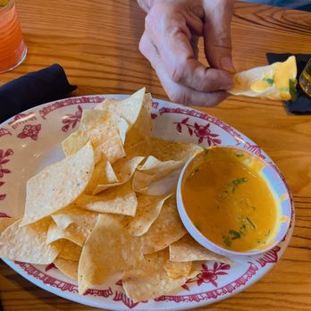 El Bebe Tacos + Tequila - Tacos Near Me - Washington, DC, District of Columbia El Bebe Tacos + Tequila - Tacos Near Me - Washington, DC, District of Columbia