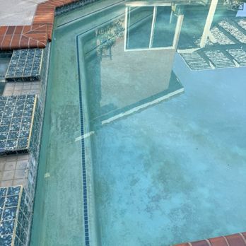 Kraken Pool Services - Shallow end after - Pool Cleaners Near Me Kraken Pool Services - Shallow end after - Pool Cleaners Near Me