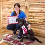 Photo of Camp Bow Wow Coppell