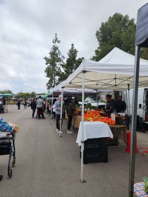 Vista Farmers Market by null
