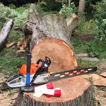 Campion Land Management - Tree Removal - Lawn Services Near Me - Independence, Missouri Campion Land Management - Tree Removal - Lawn Services Near Me - Independence, Missouri
