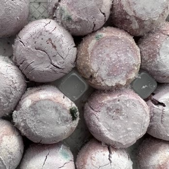 Kam Man Marketplace - Take a look at the moldy, cracked sesame seeds balls! They've probably been at the store for years and gone through a few power outages! - International Grocery Near Me - Quincy, Massachusetts