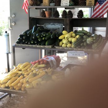 Washburn Ranch - Squash - Specialty Food Near Me - Hemet, California Washburn Ranch - Squash - Specialty Food Near Me - Hemet, California