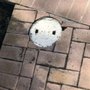 Photo of Polk County Leak Detection