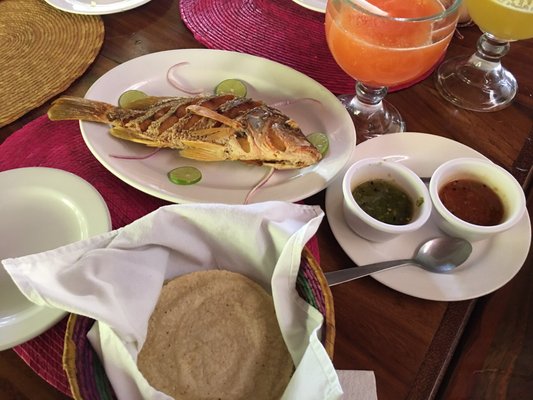 Carmelitas Café by null