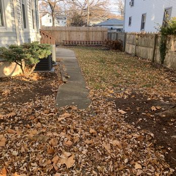 Conga Landscaping - a yard with leaves on the ground - Landscaping Near Me Conga Landscaping - a yard with leaves on the ground - Landscaping Near Me