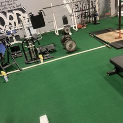 Elite Total Fitness - Wall art, a bench press, etc