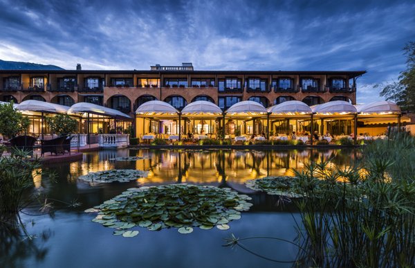 Restaurant Hide & Seek by null