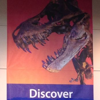 The Children's Museum - Discover - Children's Museums Near Me - Indianapolis, Indiana The Children's Museum - Discover - Children's Museums Near Me - Indianapolis, Indiana