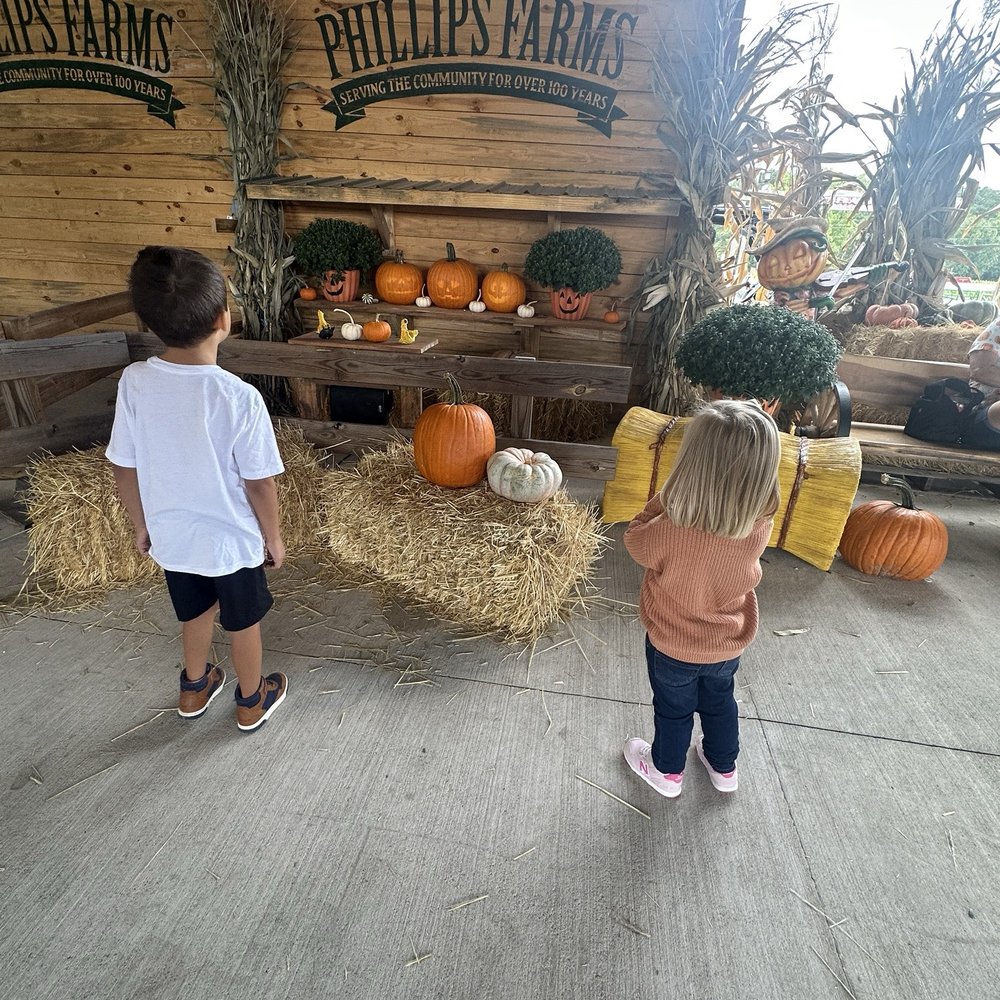 Phillips Farms - The market has story telling pumpkins! - Farmers Market Near Me - Cary, North Carolina Phillips Farms - The market has story telling pumpkins! - Farmers Market Near Me - Cary, North Carolina