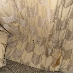 Relais Christine - bed bug feces