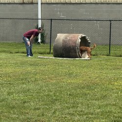 FMCA Campground - Fun in the dog park.