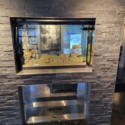 Rich's Fishes