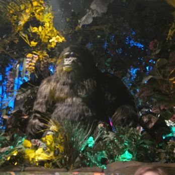 Rainforest Cafe - American Near Me - San Antonio, Texas