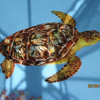 Loggerhead Marinelife Center - Turtle graphic - Community Service/Non-Profit Near Me - Juno Beach, Florida