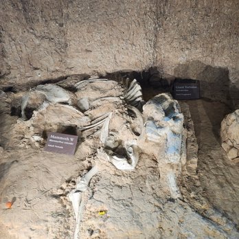 Waco Mammoth National Monument - Museums Near Me - Waco, Texas Waco Mammoth National Monument - Museums Near Me - Waco, Texas