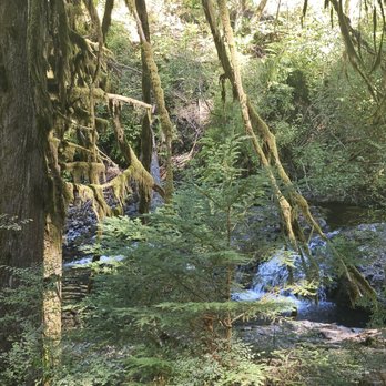 Silver Falls State Park - Hiking Near Me - Sublimity, Oregon