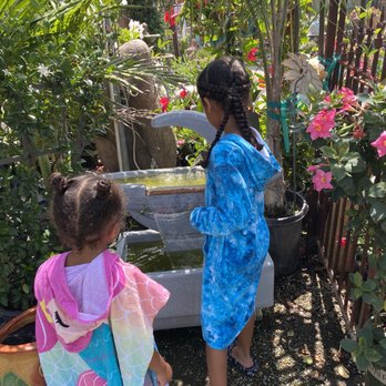 International Garden Center - Nurseries & Gardening Near Me - El Segundo, California International Garden Center - Nurseries & Gardening Near Me - El Segundo, California