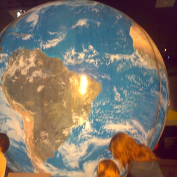 Naturalis Museum - Kids Activities Near Me