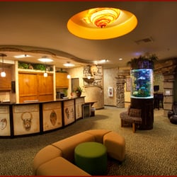 Lyons Orthodontics