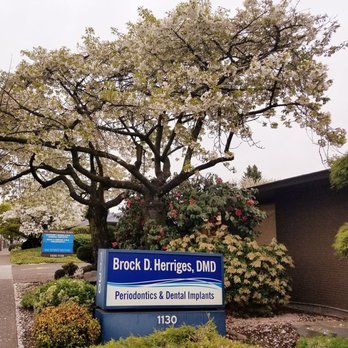 Brock Herriges, DMD - Periodontists Near Me - Portland, Oregon Brock Herriges, DMD - Periodontists Near Me - Portland, Oregon
