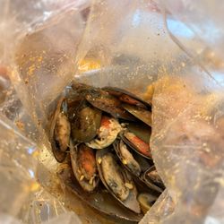 Mussels