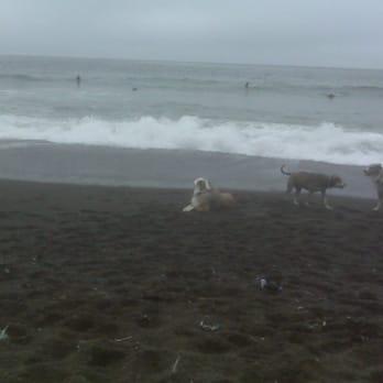 Rodeo Beach - Beaches Near Me - Sausalito, California Rodeo Beach - Beaches Near Me - Sausalito, California