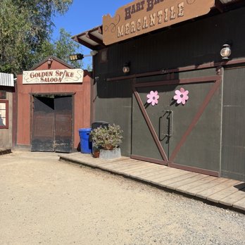 River Fox Train - Outside - Tours Near Me - West Sacramento, California