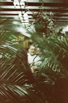 Adams & Son & Daughter Gardens by null