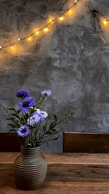 Clavel by null