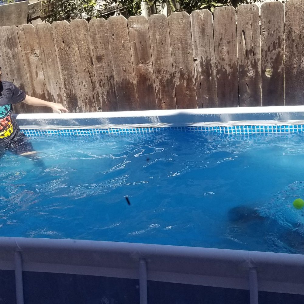 Leslie's Pool Supplies - Fixed - Hot Tub & Pool Near Me - Turlock, California Leslie's Pool Supplies - Fixed - Hot Tub & Pool Near Me - Turlock, California