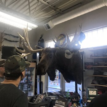 Archery Shoppe - Archery Near Me - Albuquerque, New Mexico
