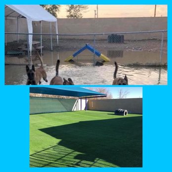 Superior Green Turf - Before and after, agility yard - Landscaping Near Me - El Paso, Texas