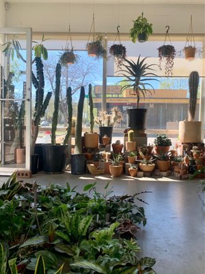 Public Land Store by null