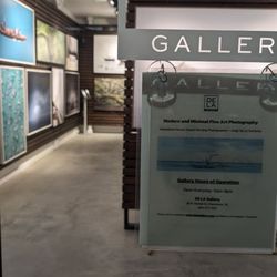DE LA Gallery