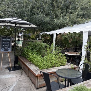 Superette - Patio area - Wine Bars Near Me - Gainesville, Florida